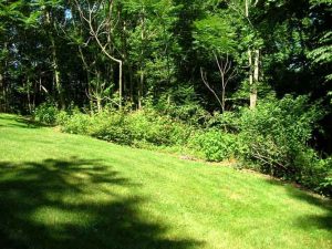 1385 Pleasant Valley Way, West Orange, NJ 07052 - Land For Sale NJ