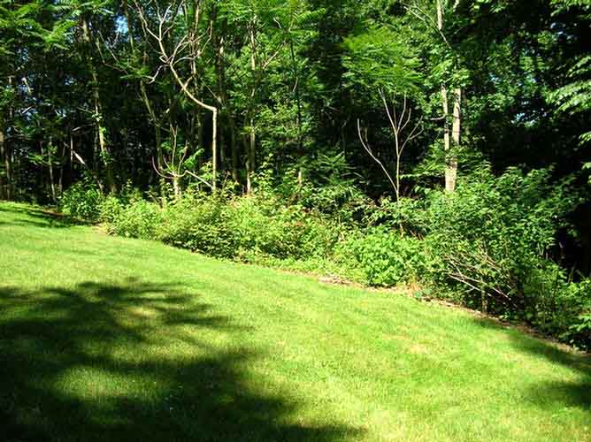 1385 Pleasant Valley Way, West Orange, NJ 07052 - Land For Sale NJ