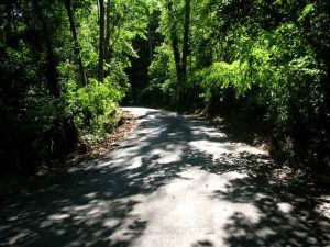 1385 Pleasant Valley Way, West Orange, NJ 07052 - Land For Sale NJ