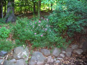 1385 Pleasant Valley Way, West Orange, NJ 07052 - Land For Sale NJ